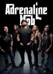 adrenaline_mob2012