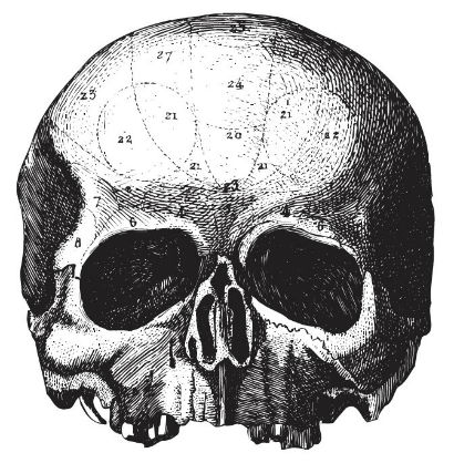 BlackLaberSociety_skul