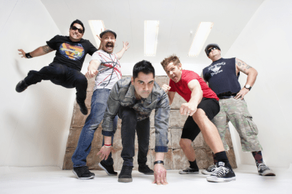 Zebrahead