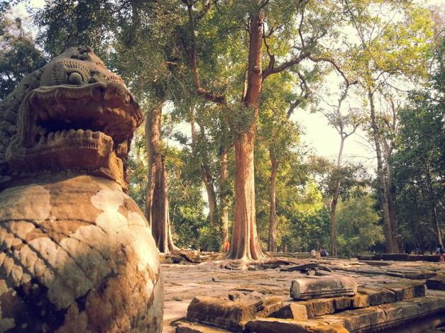 Alexander Milas In Cambodia