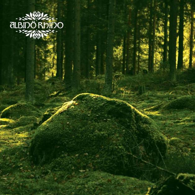 ALBINORHINO-cover