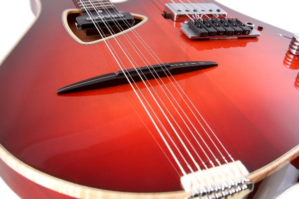 Yossi-Sassi-5Bouzoukitara_MarkII_Photo_by___Yael_&_Neomi