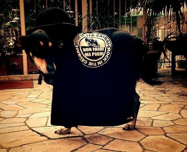 BizarBazar-RockInTheCasbah2014-4