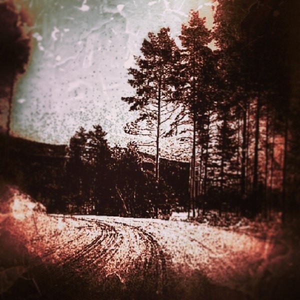 BeyondTheMorninglight-cover