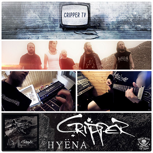 cripper-studio3