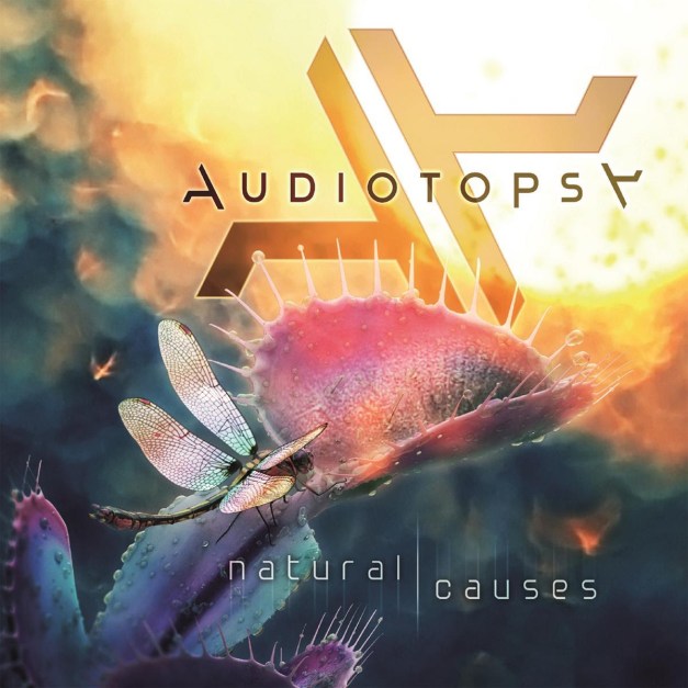 Audiotopsy