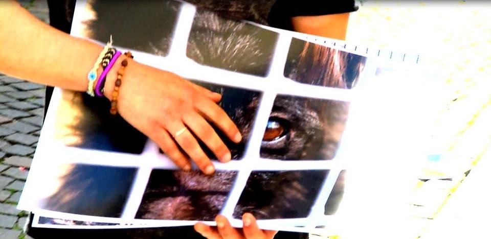 GiulioGarghentini-video2