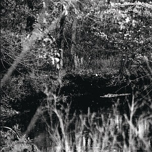 Nocturnal Poisoning Cover Art 1