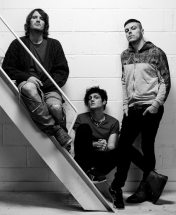 TheVirginmarys