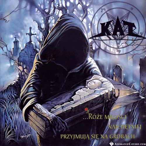 Kat-Roze-milosci-Animated-GIF-500x500