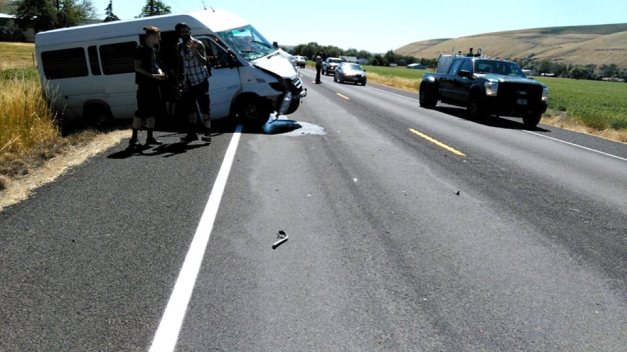 Dead-Horse-Trauma-accident