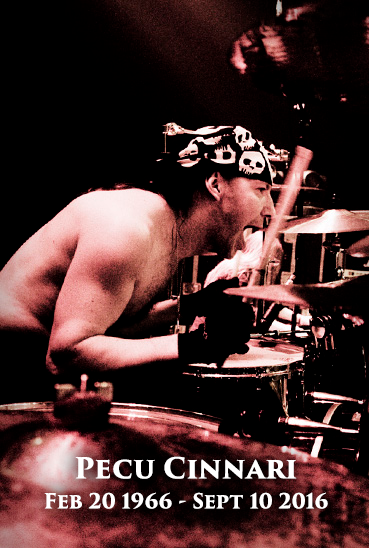 tarot-pecucinnari-rip