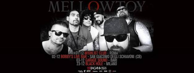 mellowtoy-tour-flyer