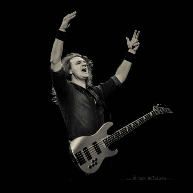 davidellefson-2016