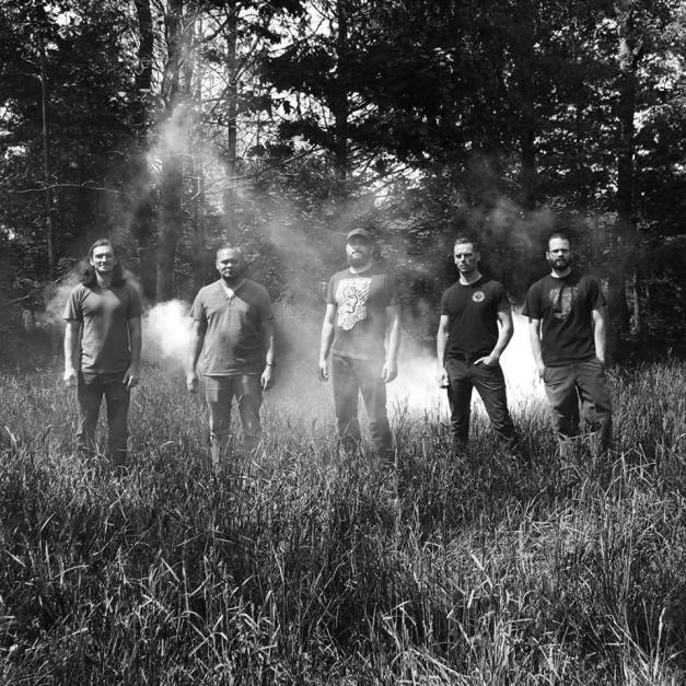 ifthesetreescouldtalk