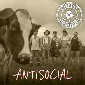 Steve-n-Seagulls-Antisocial-300x300