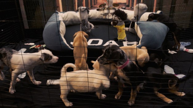 SockPuppetParody-SystemofaPound