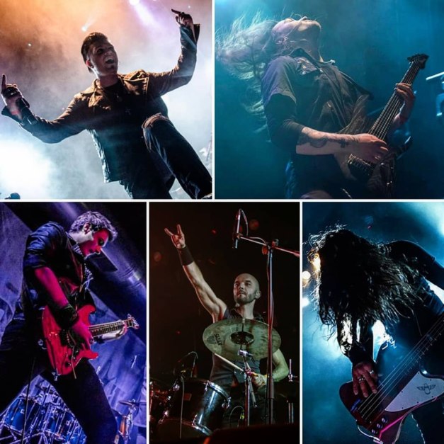 ANIMAE-SILENTES-start-recording-new-album