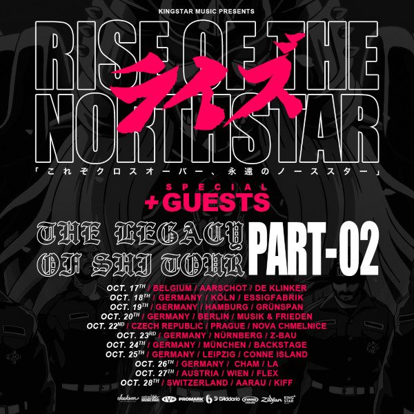RISE-OF-THE-NORTHSTAR-flyer