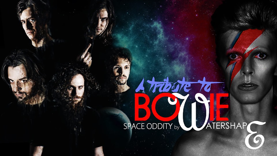 watershape-bowie-tribute