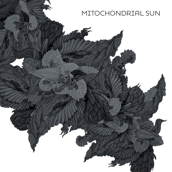 MitochondrialSun-cover