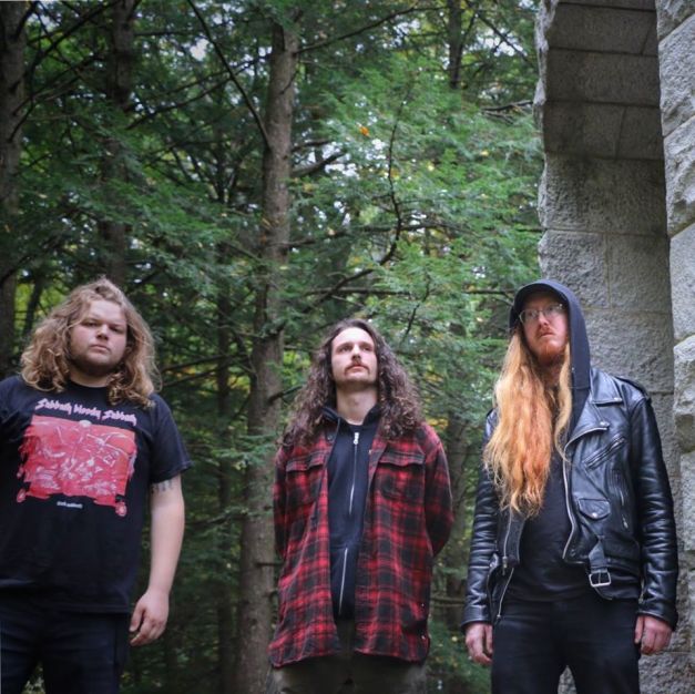 barishi-by-forest-taylor