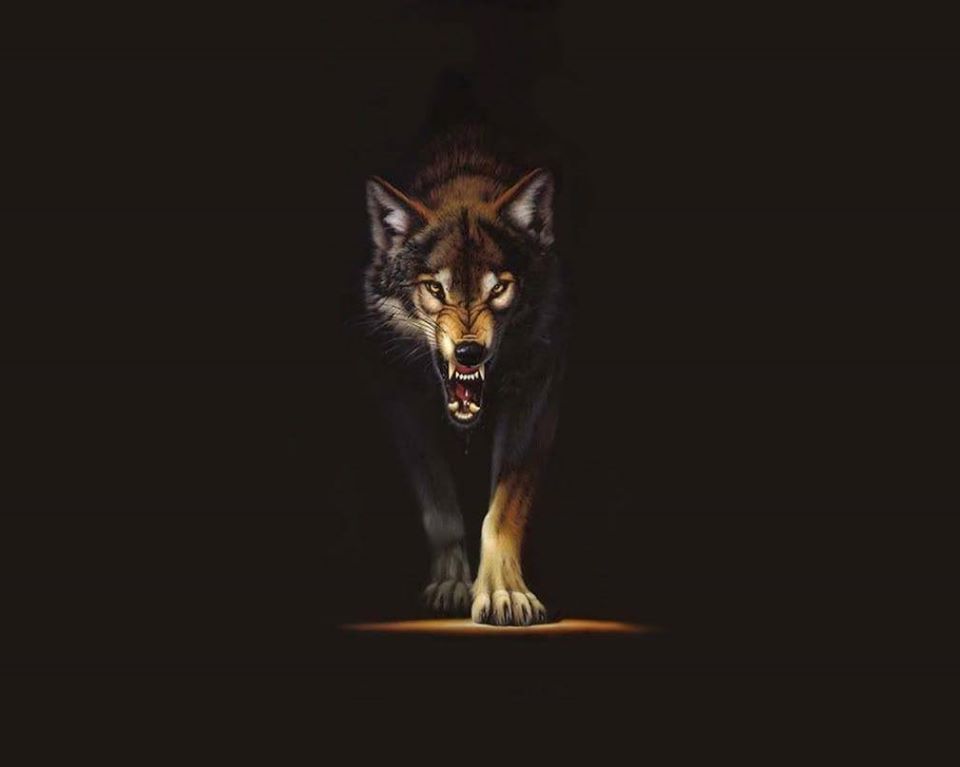wolf-chamber