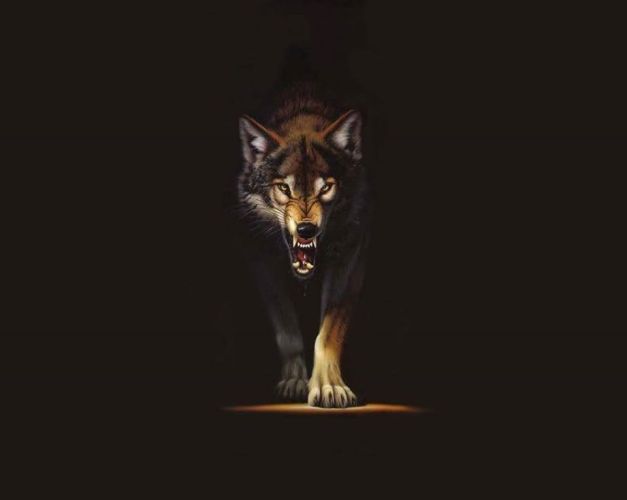 wolf-chamber